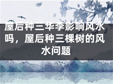屋后种三华李影响风水吗，屋后种三棵树的风水问题
