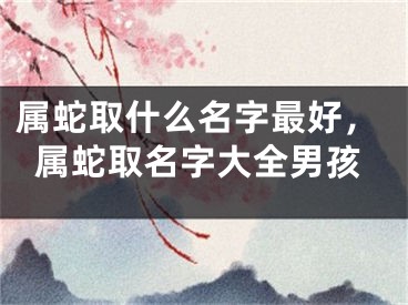属蛇取什么名字最好，属蛇取名字大全男孩