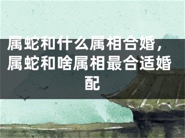 属蛇和什么属相合婚，属蛇和啥属相最合适婚配