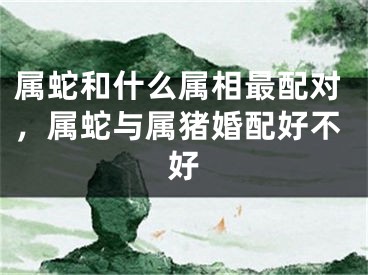 属蛇和什么属相最配对，属蛇与属猪婚配好不好