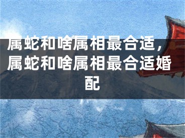 属蛇和啥属相最合适，属蛇和啥属相最合适婚配