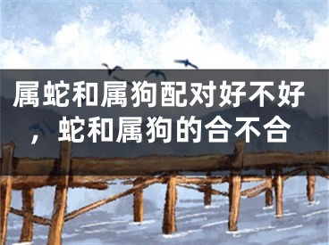 属蛇和属狗配对好不好,蛇和属狗的合不合