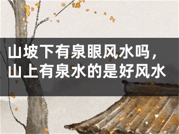 山坡下有泉眼风水吗，山上有泉水的是好风水