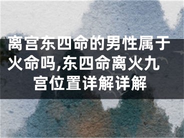 离宫东四命的男性属于火命吗,东四命离火九宫位置详解详解
