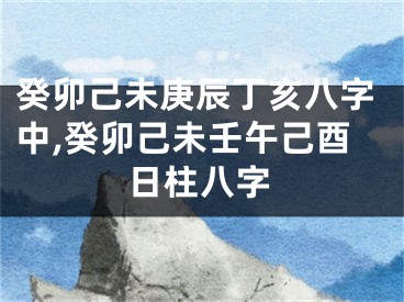 癸卯己未庚辰丁亥八字中,癸卯己未壬午己酉日柱八字