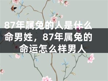 87年属兔的人是什么命男姓，87年属兔的命运怎么样男人