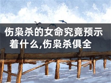 伤枭杀的女命究竟预示着什么,伤枭杀俱全