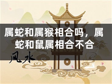 属蛇和属猴相合吗，属蛇和鼠属相合不合