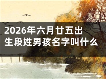 2026年六月廿五出生段姓男孩名字叫什么