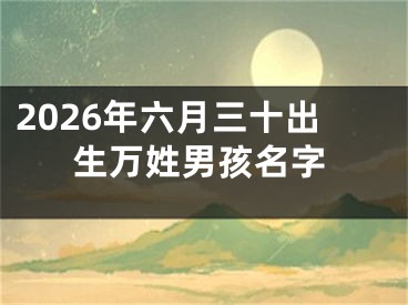 2026年六月三十出生万姓男孩名字