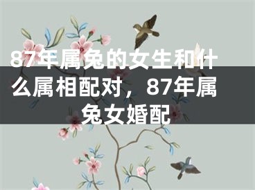 87年属兔的女生和什么属相配对，87年属兔女婚配