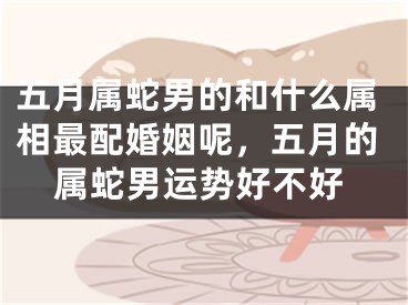五月属蛇男的和什么属相最配婚姻呢，五月的属蛇男运势好不好