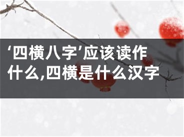 ‘四横八字’应该读作什么,四横是什么汉字