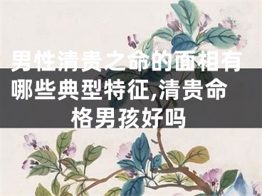 男性清贵之命的面相有哪些典型特征,清贵命格男孩好吗