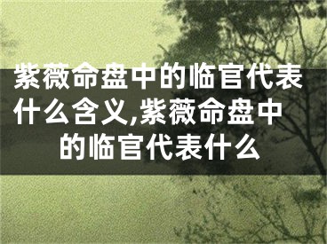 紫薇命盘中的临官代表什么含义,紫薇命盘中的临官代表什么