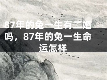 87年的兔一生有二婚吗，87年的兔一生命运怎样