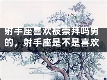 射手座喜欢被崇拜吗男的，射手座是不是喜欢