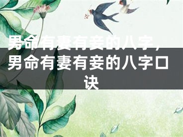 男命有妻有妾的八字，男命有妻有妾的八字口诀