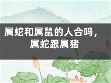 属蛇和属鼠的人合吗，属蛇跟属猪