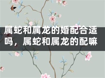 属蛇和属龙的婚配合适吗，属蛇和属龙的配嘛