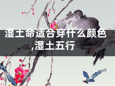 湿土命适合穿什么颜色,湿土五行