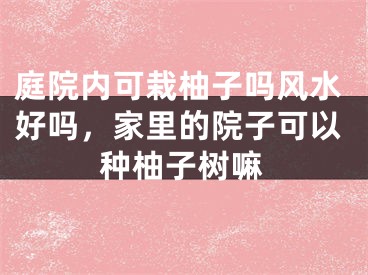 庭院内可栽柚子吗风水好吗，家里的院子可以种柚子树嘛