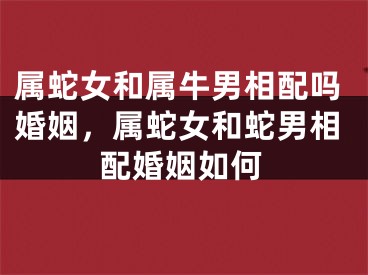 属蛇女和属牛男相配吗婚姻，属蛇女和蛇男相配婚姻如何