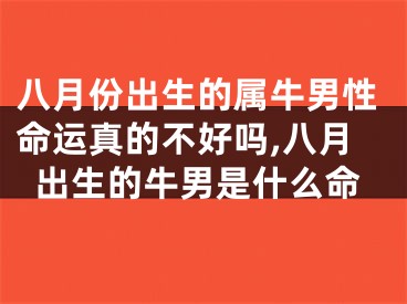 八月份出生的属牛男性命运真的不好吗,八月出生的牛男是什么命