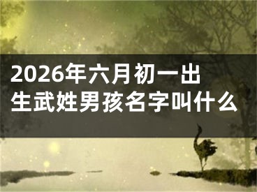 2026年六月初一出生武姓男孩名字叫什么