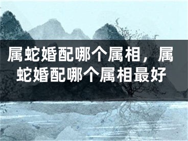 属蛇婚配哪个属相，属蛇婚配哪个属相最好