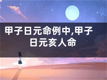 甲子日元命例中,甲子日元亥人命