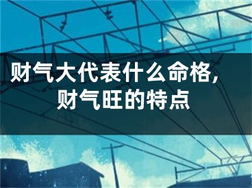 财气大代表什么命格,财气旺的特点