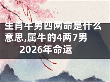 生肖牛男四两命是什么意思,属牛的4两7男2026年命运