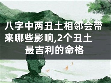 八字中两丑土相邻会带来哪些影响,2个丑土最吉利的命格