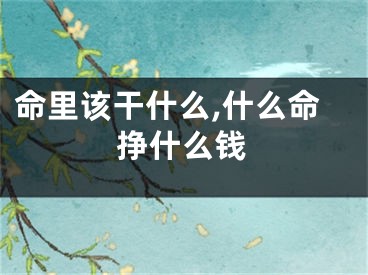 命里该干什么,什么命挣什么钱