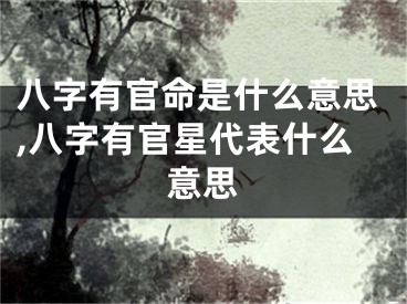 八字有官命是什么意思,八字有官星代表什么意思