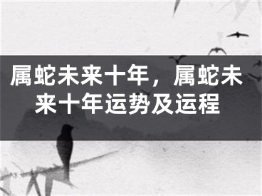 属蛇未来十年，属蛇未来十年运势及运程