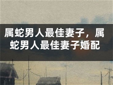 属蛇男人最佳妻子，属蛇男人最佳妻子婚配