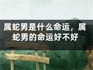 属蛇男是什么命运，属蛇男的命运好不好