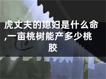 虎丈夫的媳妇是什么命,一亩桃树能产多少桃胶