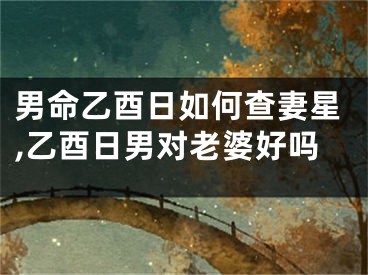 男命乙酉日如何查妻星,乙酉日男对老婆好吗