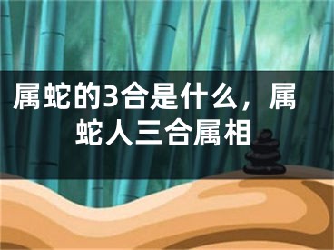 属蛇的3合是什么，属蛇人三合属相