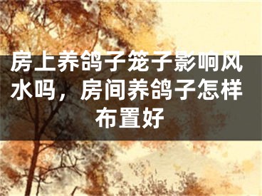 房上养鸽子笼子影响风水吗，房间养鸽子怎样布置好