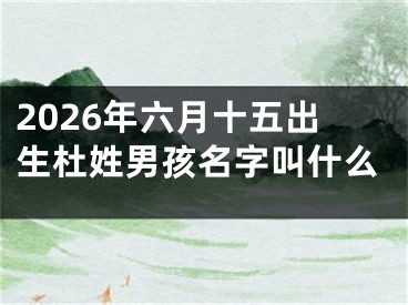 2026年六月十五出生杜姓男孩名字叫什么