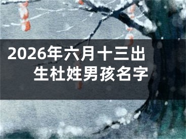2026年六月十三出生杜姓男孩名字