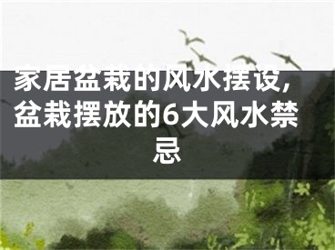 家居盆栽的风水摆设,盆栽摆放的6大风水禁忌