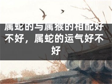 属蛇的与属猴的相配好不好，属蛇的运气好不好