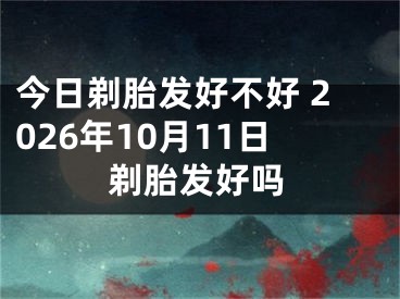 今日剃胎发好不好 2026年10月11日剃胎发好吗