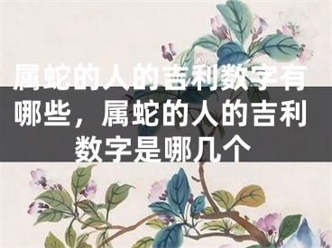属蛇的人的吉利数字有哪些，属蛇的人的吉利数字是哪几个