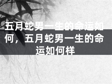 五月蛇男一生的命运如何,五月蛇男一生的命运如何样